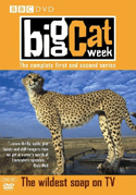 BigCatDiary_DVD_Series1And2.gif (17142 bytes)